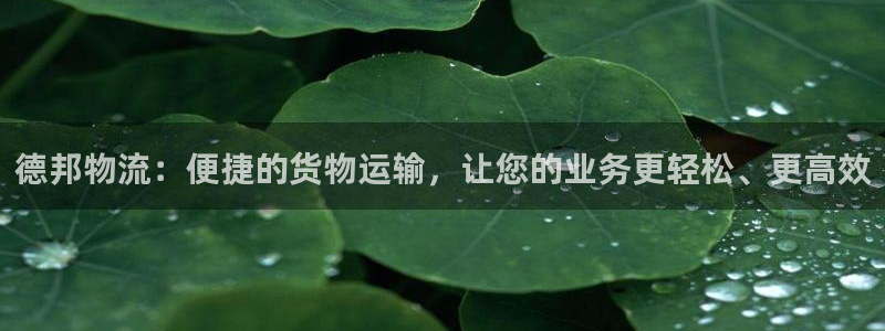 usdt咋提现