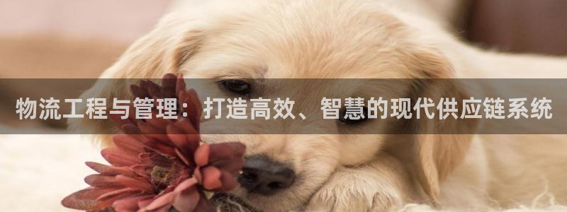 怎样下载usdt