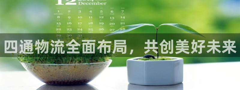 如何查询usdt转账记录