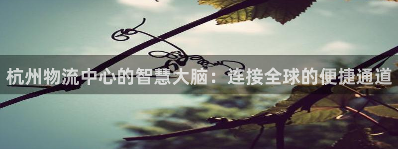 usdt官方app