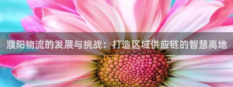 usdt交易中国合法吗好出售
