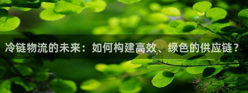 usdt被骗了咋办