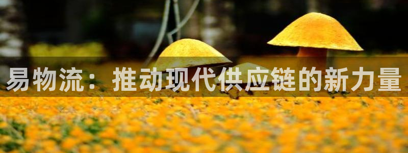 usdt账户地址