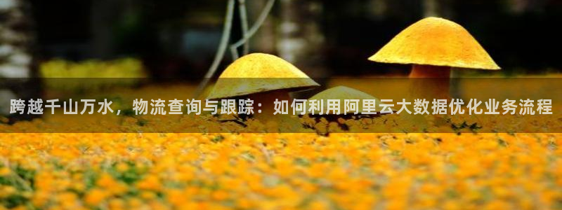 usdt怎么提取