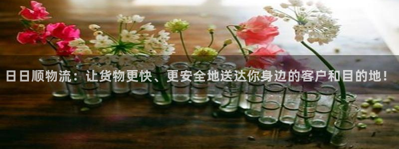 如何注册usdt钱包地址：日日顺物流