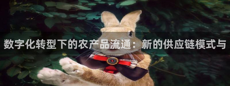 货币钱包usdt怎么转成人民币