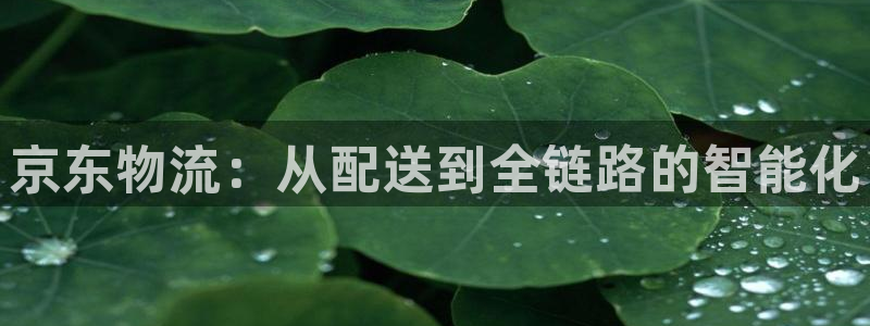 usdt omni钱包 教程