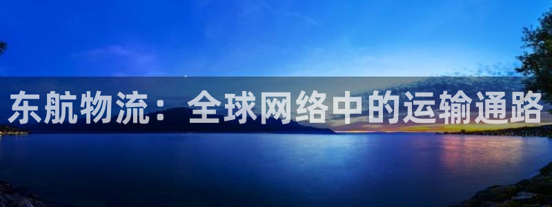 usdt官网注册流程：东航物流：全球
