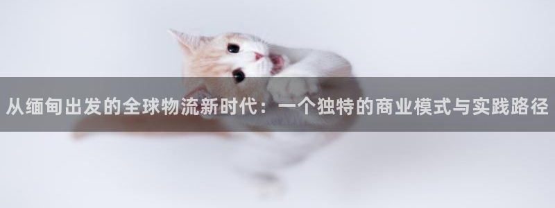 usdt网站