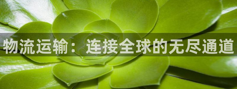 usdt交易能查到来源地址