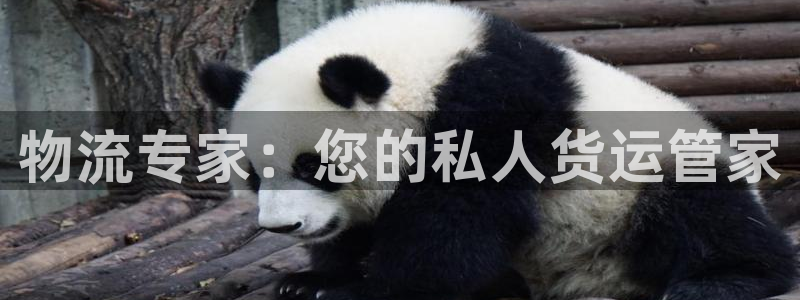 usdt钱包地址批量怎么生成