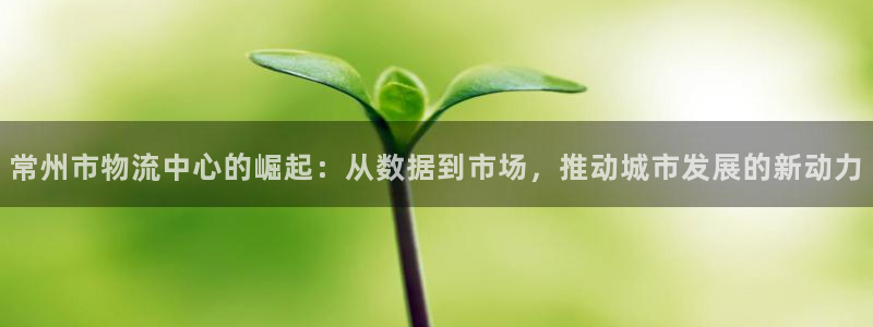 usdt钱包网址多少：常州市物流中心