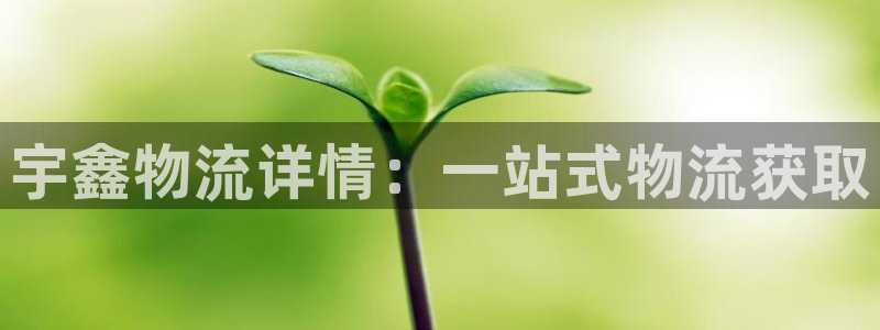 usdt 官方钱包：宇鑫物流详情：一