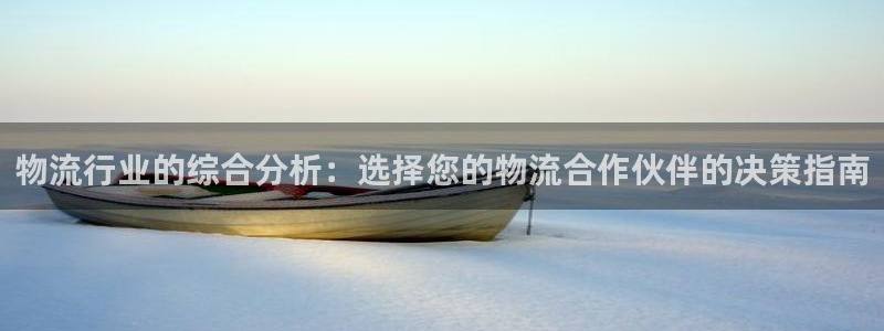 usdt地址查询钱包余额：物流行业的