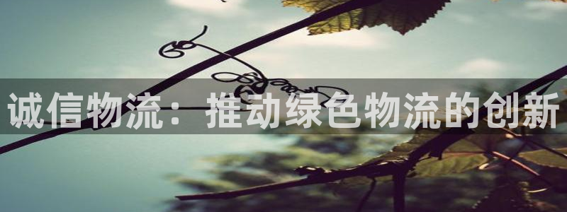 usdt钱包有几种：诚信物流：推动绿