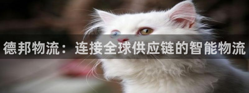usdt分几种：德邦物流：连接全球供