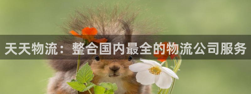 usdt交易id可以发出来吗：天天物