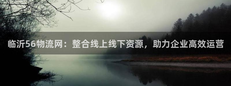 usdt如何操作：临沂56物流网：整
