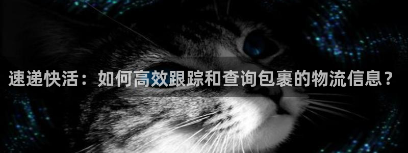 usdt交易平台：速递快活：如何高效