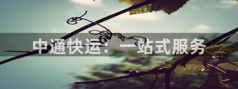 usdt钱包余额图片：中通快运：一站