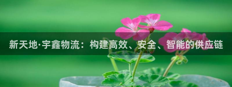 usdt钱包怎么弄：新天地·宇鑫物流