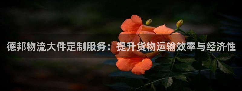 usdt钱包怎么提现：德邦物流大件定