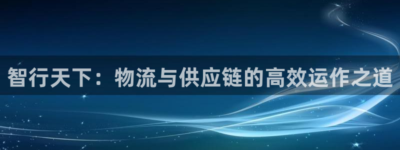 usdt链接查询：智行天下：物流与供
