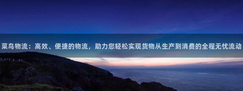 usdt换bnb：菜鸟物流：高效、便