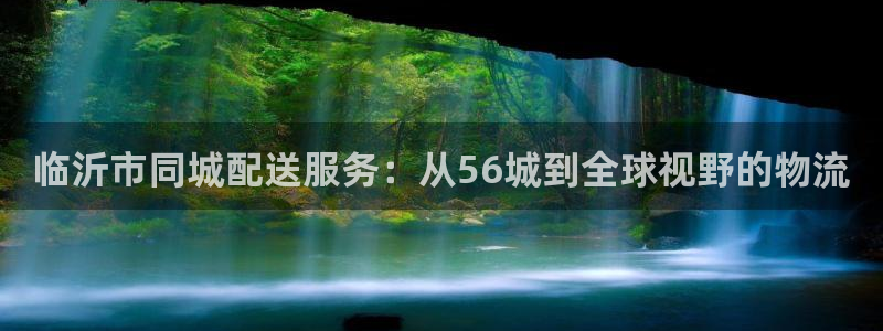 usdt怎么支付：临沂市同城配送服务