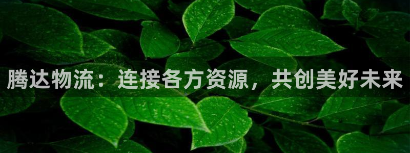 usdt账户怎么注册中文版：腾达物流