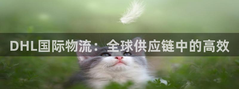 usdt钱包开发 在中国 合法吗：D