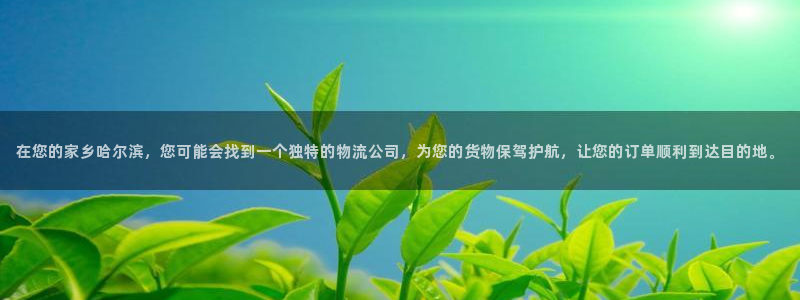 usdt钱包交易会被公安知道吗：在您