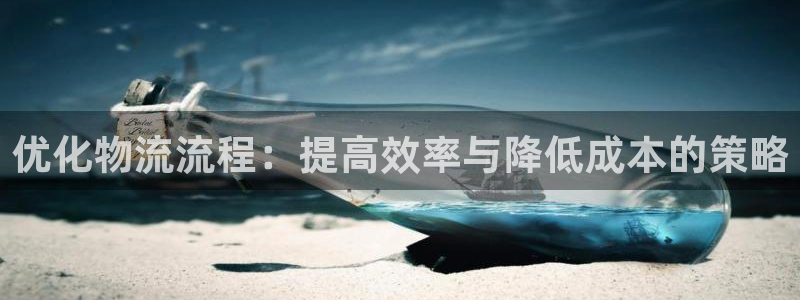 钱包usdt转出：优化物流流程：提高