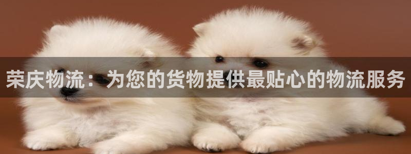 Usdt交易被抢：荣庆物流：为您的货