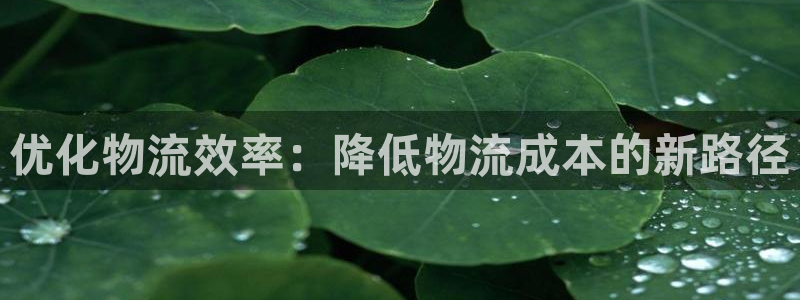 怎样下载usdt：优化物流效率：降低