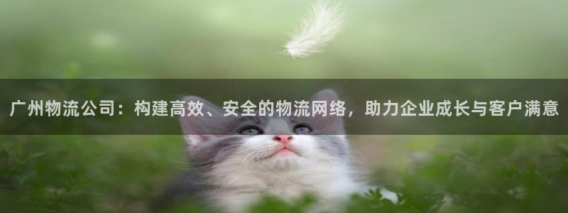 usdt钱包提现到支付宝：广州物流公