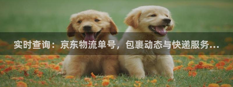 usdt下载官网-官网下载usdt交