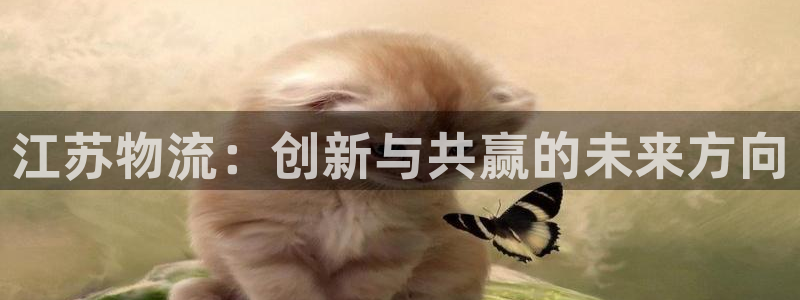 usdt转出地址可以查询